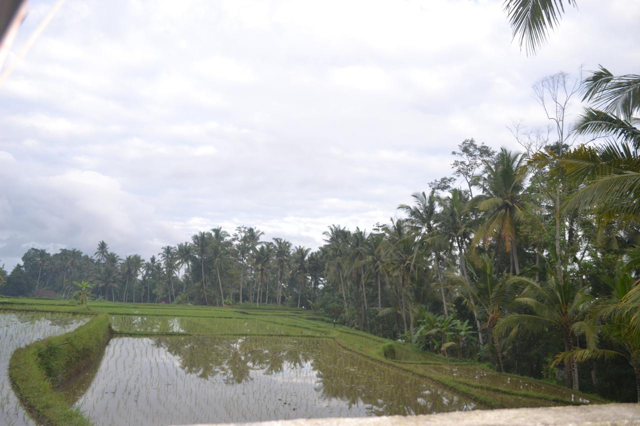 Buda Cottage Ubud Kültér fotó