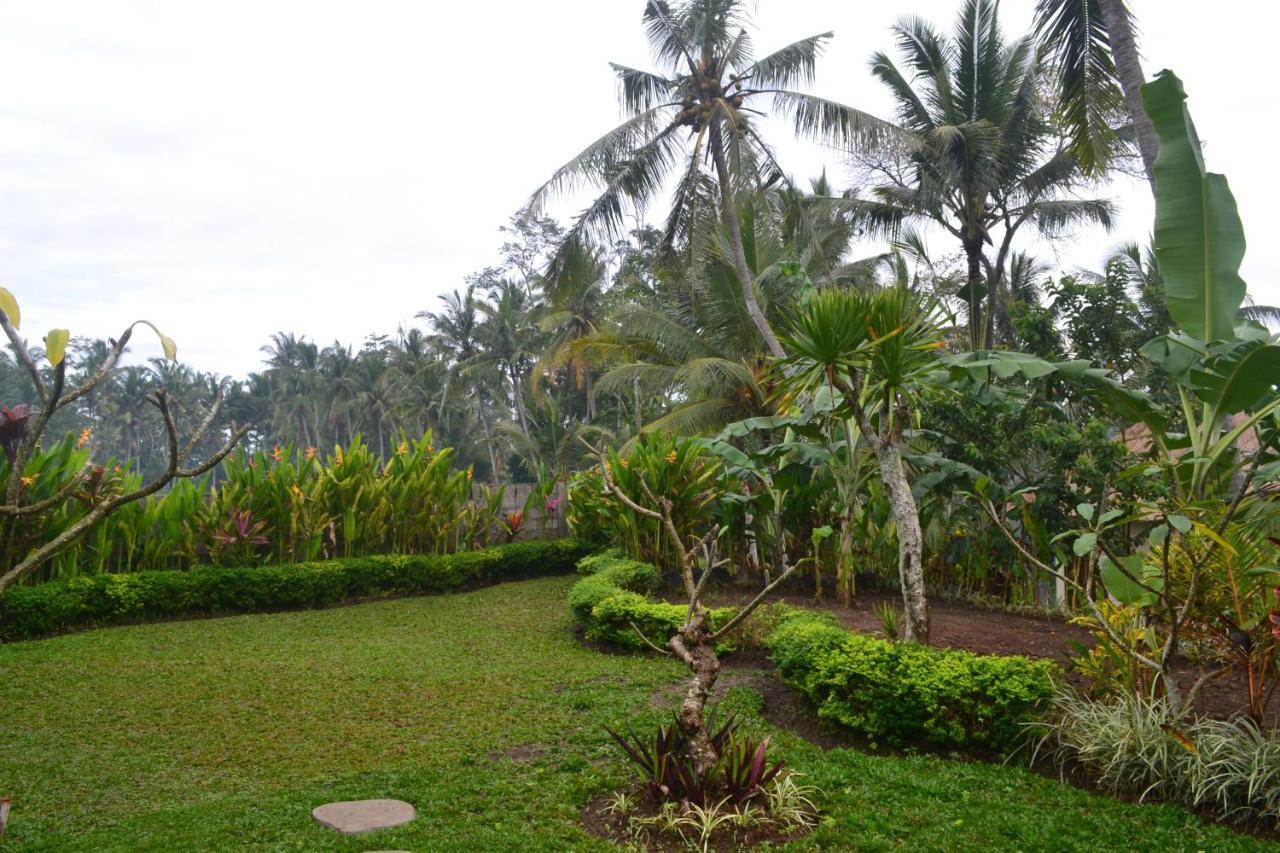Buda Cottage Ubud Kültér fotó