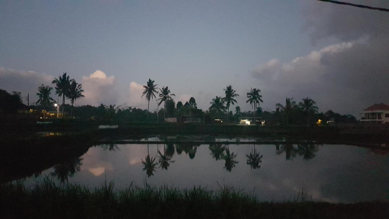 Buda Cottage Ubud Kültér fotó