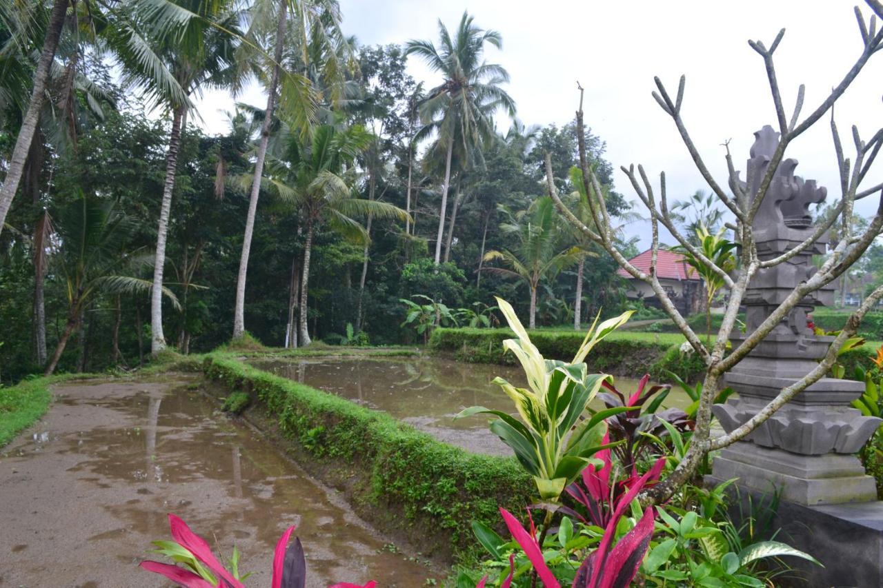 Buda Cottage Ubud Kültér fotó